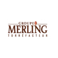 logo groupe merling
