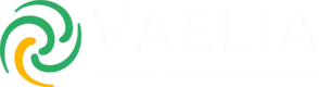 Logo vaelia